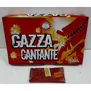 GAZZA CANTANTE F2