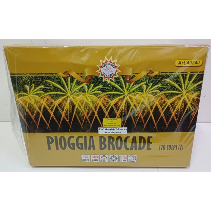 Vendita online Fuochi D'Artificio F2 PIOGGIA BROCADE 120 SHOTS costo  120,00 €  spedizione in 2-3 giorni