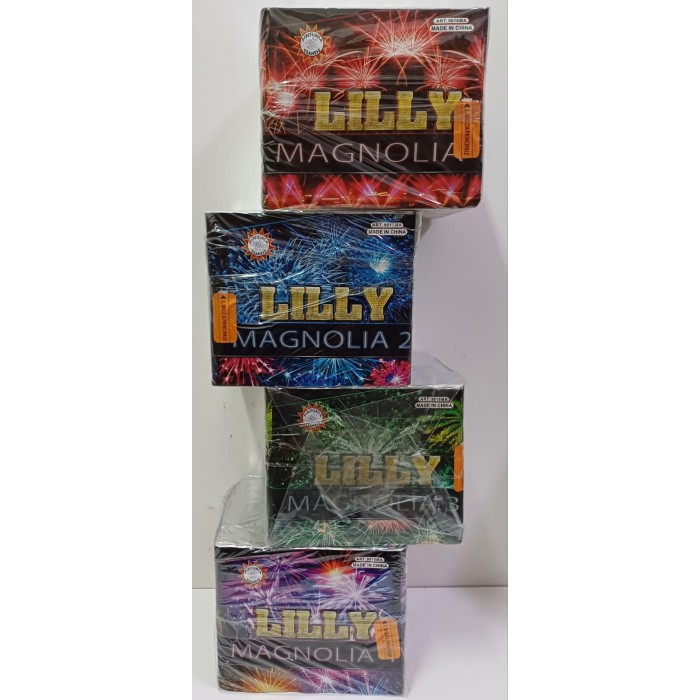 Vendita online Fuochi D'Artificio F2 OFFERTA 4 SCATOLE MODELLI ALTE costo  139,90 €  spedizione in 2-3 giorni