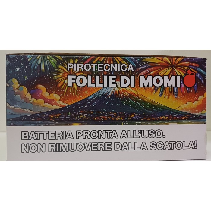 Vendita online Fuochi D'Artificio F2 FOLLIA 100 COLPI EFFETTO N 1 costo  29,90 €  spedizione in 2-3 giorni