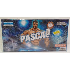 PASCAL 200 SHOTS