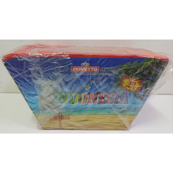 Vendita online Fuochi D'Artificio F2 INDONESIA  49 SHOTS costo  29,90 €  spedizione in 2-3 giorni