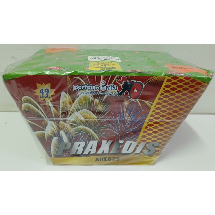 Vendita online Fuochi D'Artificio F2 PRAXEDIS 49 SHOTS costo  34,90 €  spedizione in 2-3 giorni