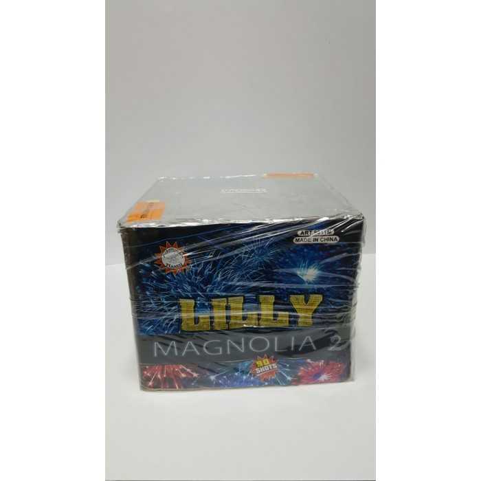 Vendita online Fuochi D'Artificio F2 LILLY MAGNOLIA BIG 2   90 COLPI costo  39,90 €  spedizione in 2-3 giorni