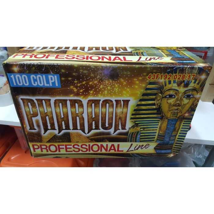 Vendita online Fuochi D'Artificio F2 PHARAON – 100 COLPI PROFESSIONALE costo  115,00 €  spedizione in 2-3 giorni