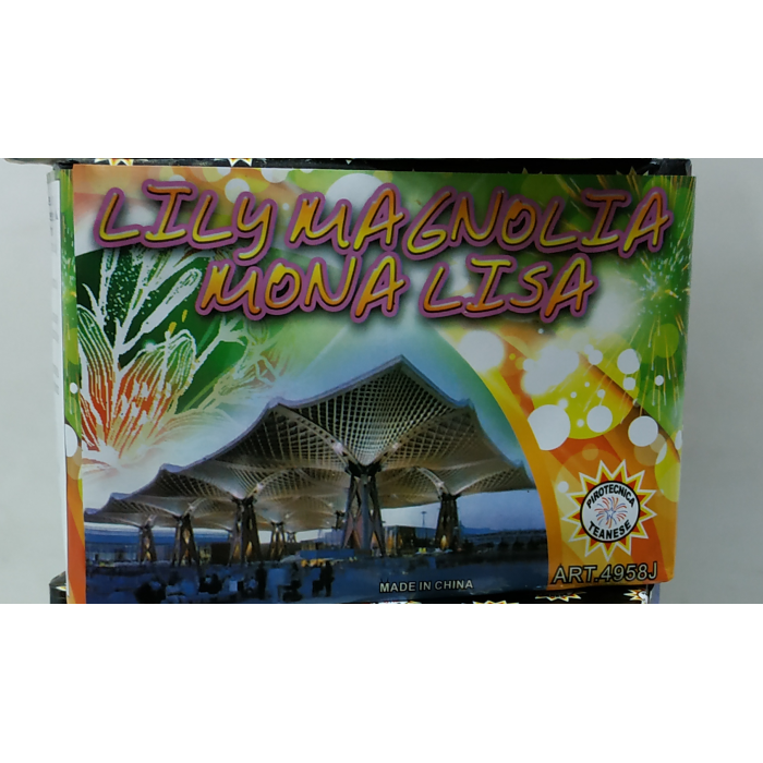 Vendita online Fuochi D'Artificio F2 LILLY MAGNOLIA MON ALISA  - 49 COLPI costo  18,90 €  spedizione in 2-3 giorni