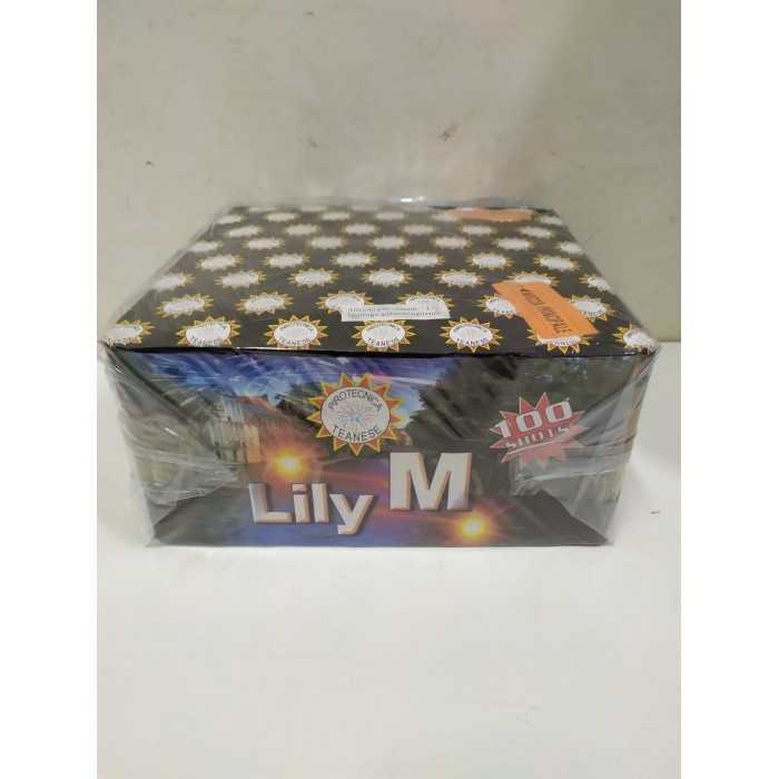 Vendita online Fuochi D'Artificio F2 LILLY M - 100 COLPI costo  32,90 €  spedizione in 2-3 giorni
